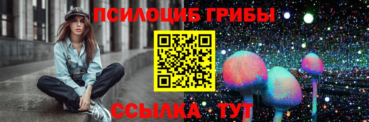 Новозыбков  Галлюциногенные грибы Psilocybe  Вход с VPN 
