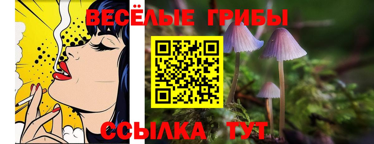 МАРИХУАНА  Новозыбков  Гашиш  МЕФ кристаллы  Альфа ПВП СК кристаллы  Мефедрон  Вход с VPN 